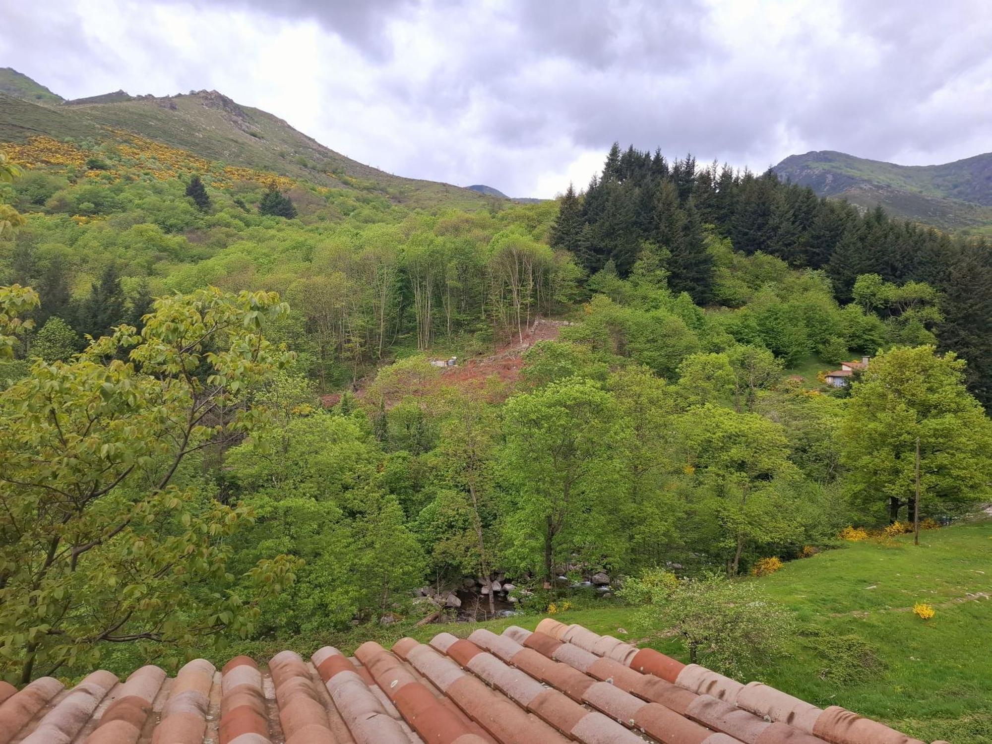 Auberge Arthea Laviolle Habitación foto